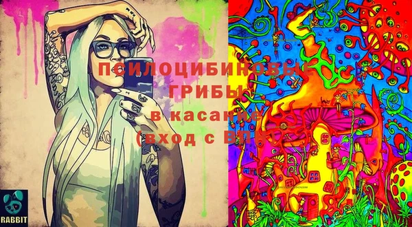 стафф Осинники