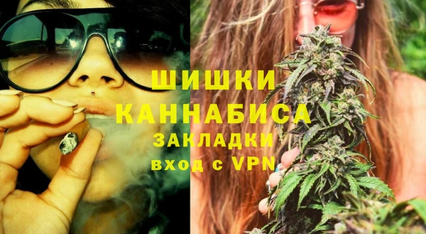 стафф Осинники