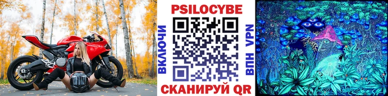 Псилоцибиновые грибы Cubensis  гидра онион  Чекалин 