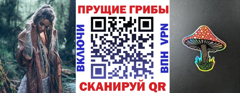 Псилоцибиновые грибы прущие грибы Чекалин